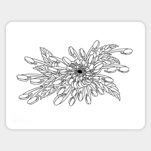 Chrysanthemum Sticker